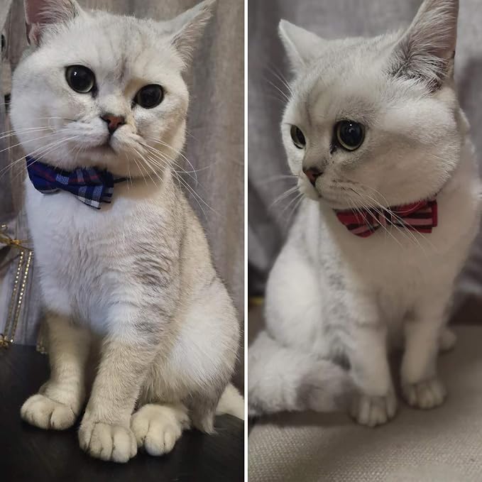 Cat Collar Breakaway with Bell and Bow Tie, Plaid Design Adjustable Safety - Image 3