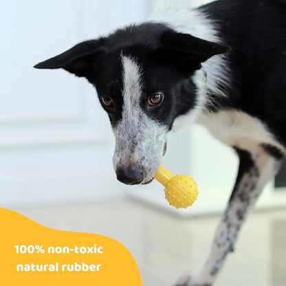 Pup's Pick Dog Chew Toy with Bell - Image 5