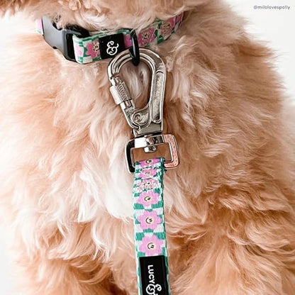 Lucy & Co. Dog Collar - Image 2