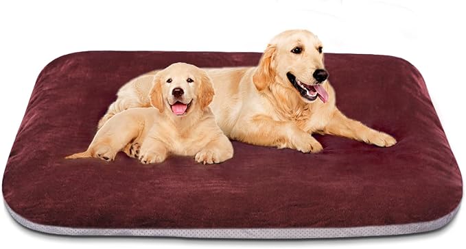 Magic Dog Super Soft Extra Large Dog Bed, 47 Inches Jumbo Orthopedic Foam Pet by MagicDog