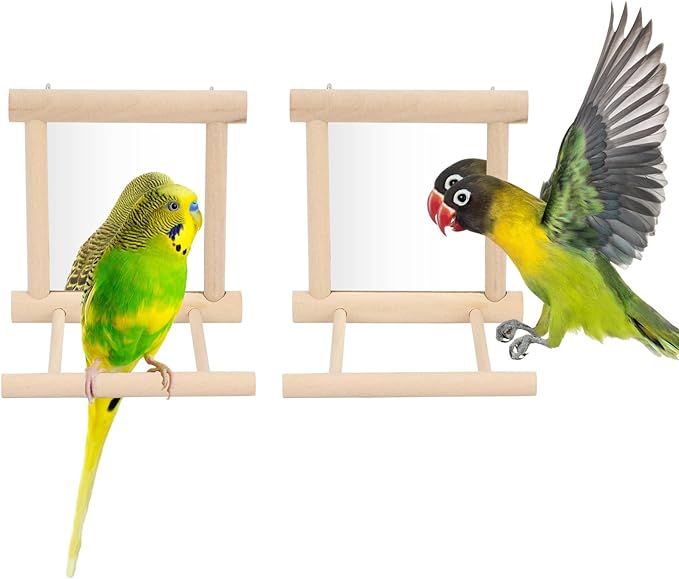 Wontee Bird Mirror Bird Toys for Budgies Parakeets Cockatiels Lovebirds Conures by Wontee