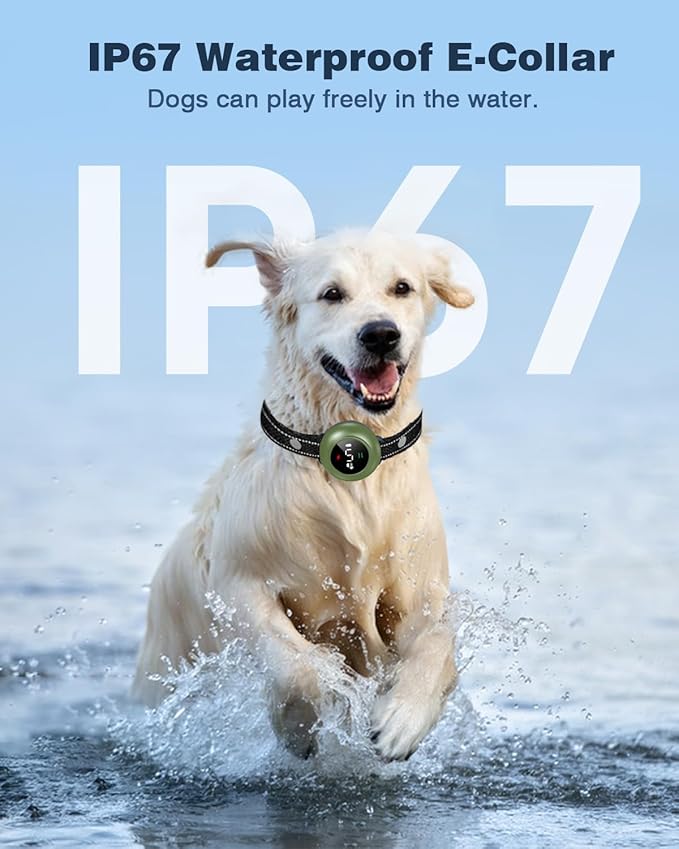 2-in-1 Dog Shock Collar & Dog Bark Collar - Image 5