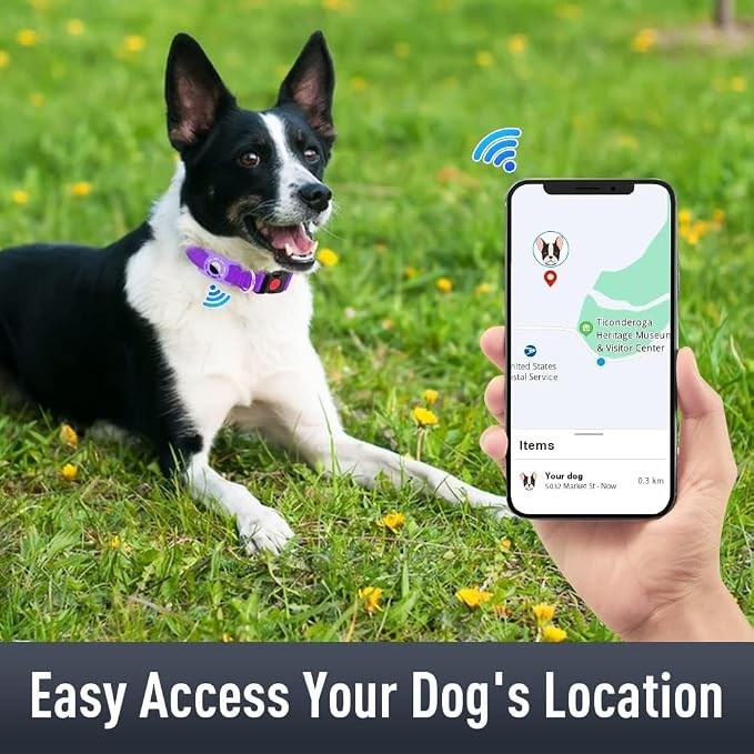 Airtag Dog Collar with AirTag Holder - Image 2