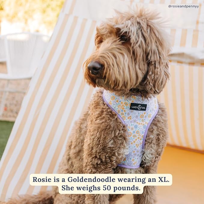 Lucy & Co. Cute Reversible Dog Harness Walking Halter - Image 6