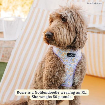 Lucy & Co. Cute Reversible Dog Harness Walking Halter - Image 6