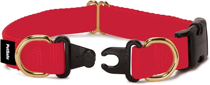 PetSafe KeepSafe Collar for Dogs by PetSafe