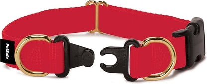 PetSafe KeepSafe Collar for Dogs by PetSafe