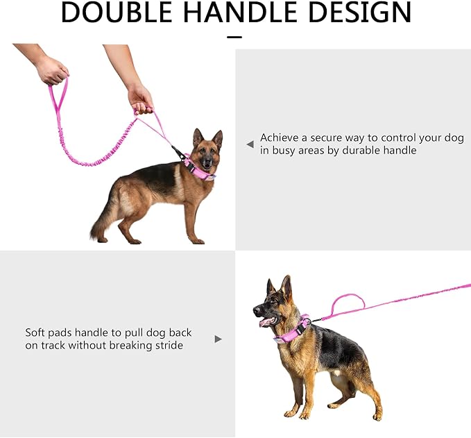 DAGANXI Tactical Dog Collar, Adjustable Military Training Nylon Dog Collar - Image 6