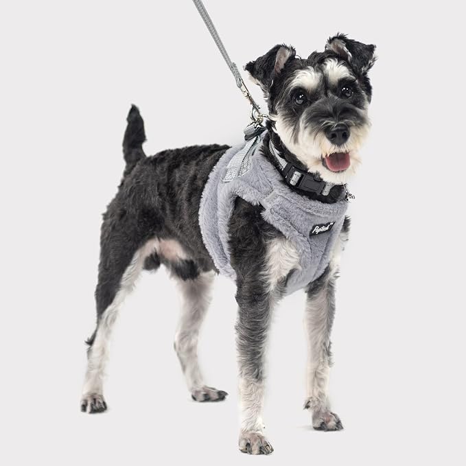 PUPTECK Adjustable Dog Harness Collar and Leash Set Step in No Pull Pet Harness - Image 6