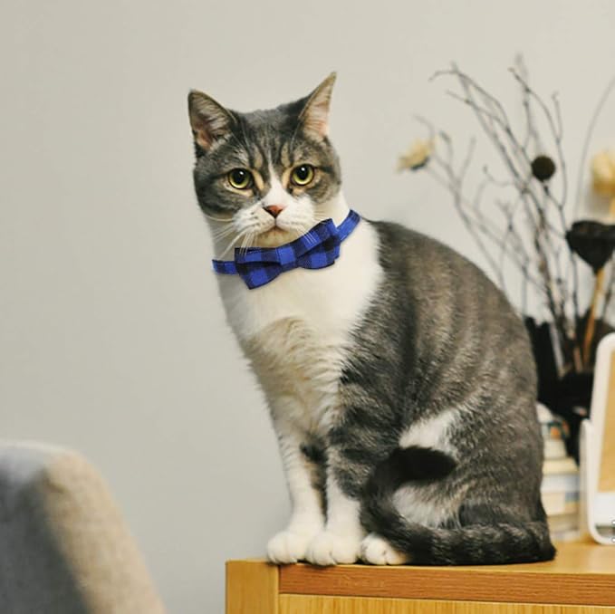 SLSON 4 Pack Cat Collars Breakaway - Image 7
