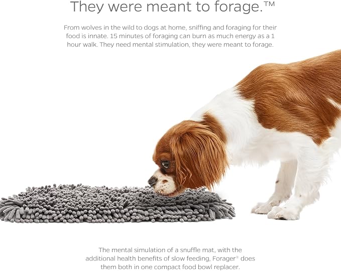 Pet Parents Forager Slow Feeder Dog Bowl & Snuffle Mat - Image 4