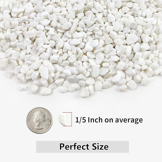 10LB Succulent and Cactus Gravel, 1/5 Inch White Natural Decorative Polished - Image 2