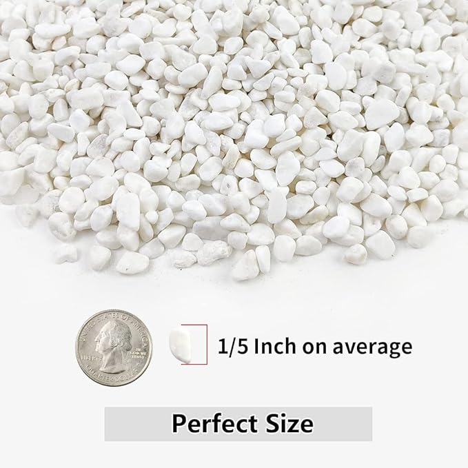 5LB Succulent and Cactus Gravel Pebbles, 1/5 Inch White Natural Decorative - Image 2