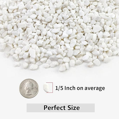 2LB Succulent and Cactus Gravel Pebbles, 1/5 Inch White Natural Decorative - Image 2