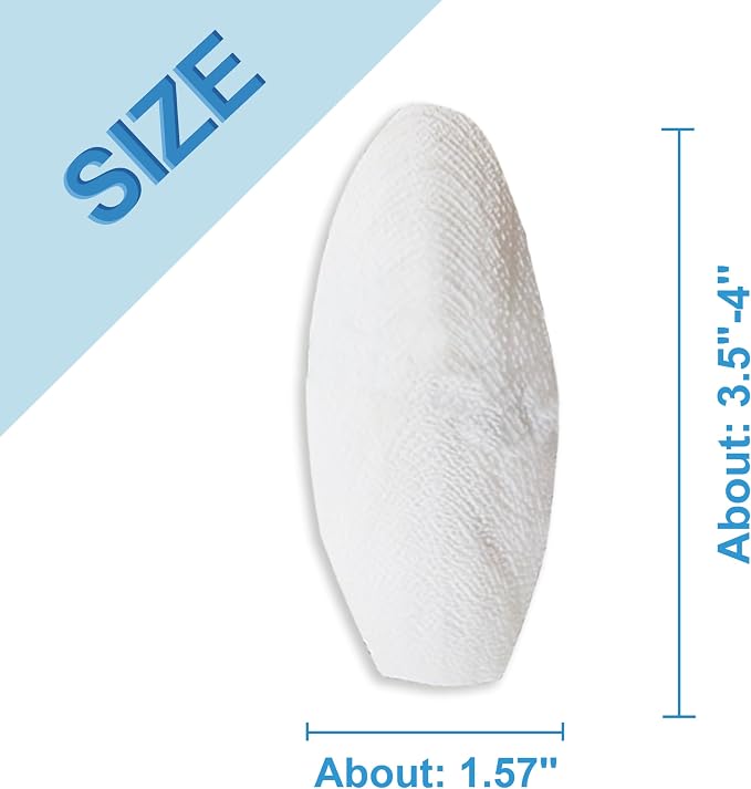 Jmxu's 3.5"-4" Cuttlebone for Birds Natural Cuddle Bone for Parakeets, - Image 2