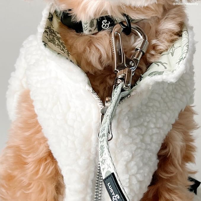Lucy & Co. Dog Collar - Image 2