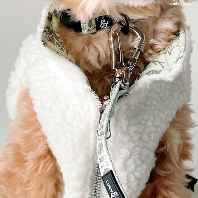 Lucy & Co. Dog Collar - Image 2