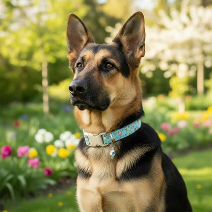 Small Dog Collar, Cute Dog Collar - Image 7