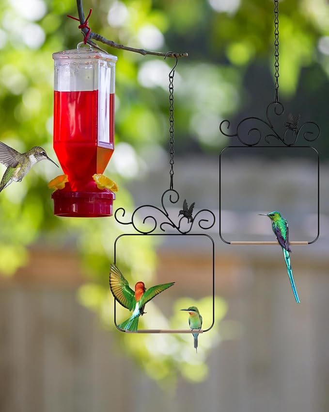 PACETAP Hummingbird Swings and Perches Metal Frame 2 Pack, Wild Bird Swing - Image 2