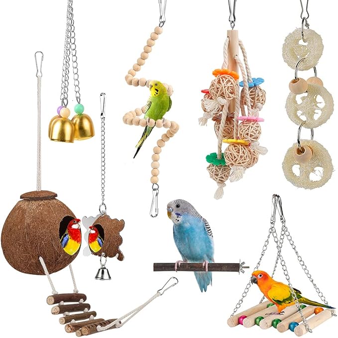 For Parakeet, Love Birds, Parrots by lovyoCoCo