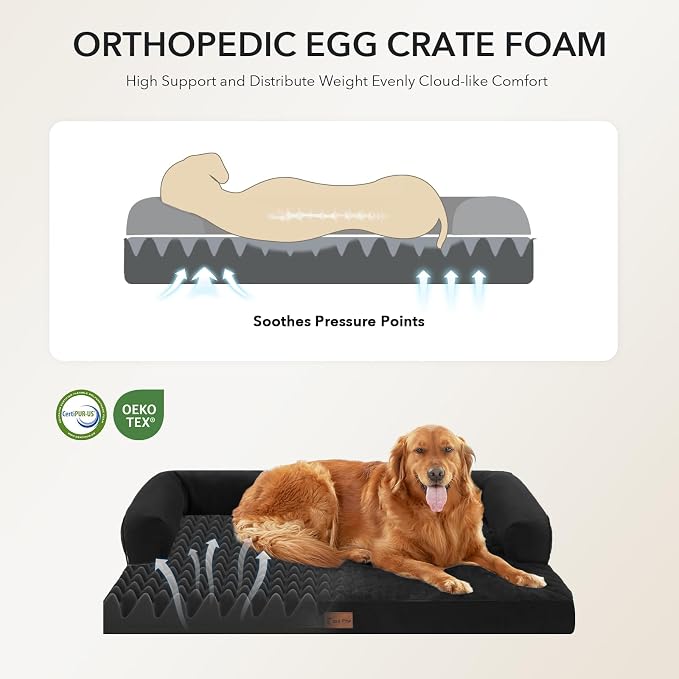 Orthopedic XXL Dog Beds, Waterproof Egg Crate Foam Big Pet Bed - Image 2