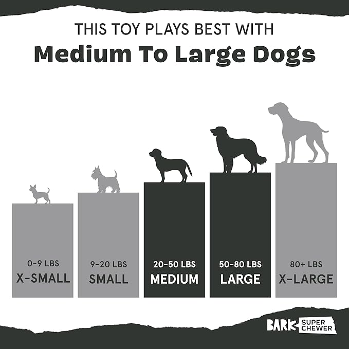 Barkbox Super Chewer Tough Dog Chew Toys - Image 6