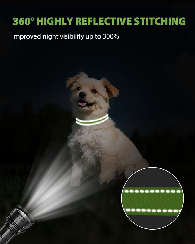 Joytale Small Dog Collar, Reflective and Adjustable Nylon Collar - Image 5