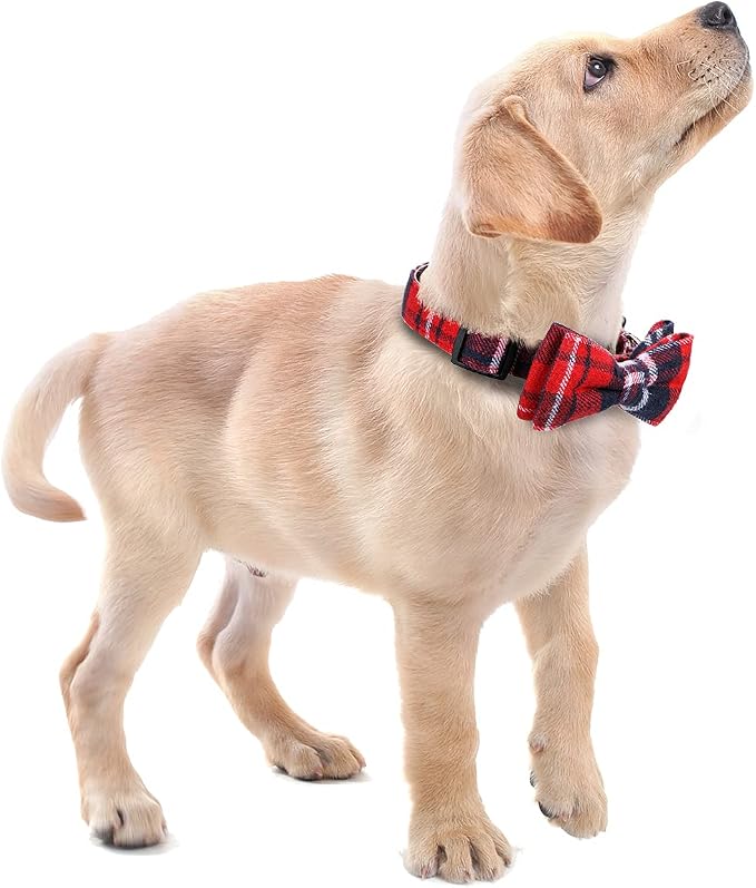 Faleela Soft &Comfy Bowtie Christmas Dog Collar, Detachable and Adjustable Bow - Image 6