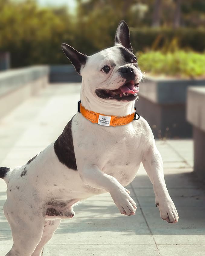 TagME Reflective Nylon Dog Collars, Adjustable Classic Pet Collar - Image 2