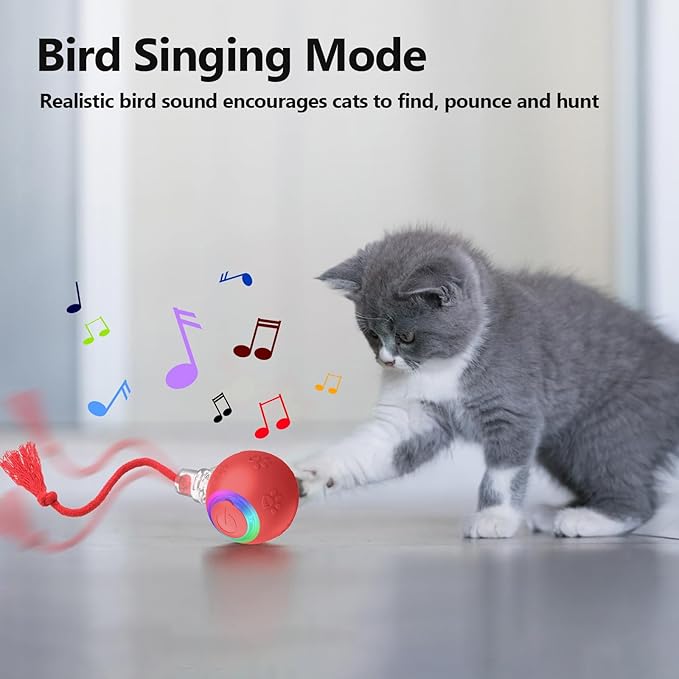 FUNNYDUCK Speed 2.0 Tail Interactive Cat Toys - Image 4