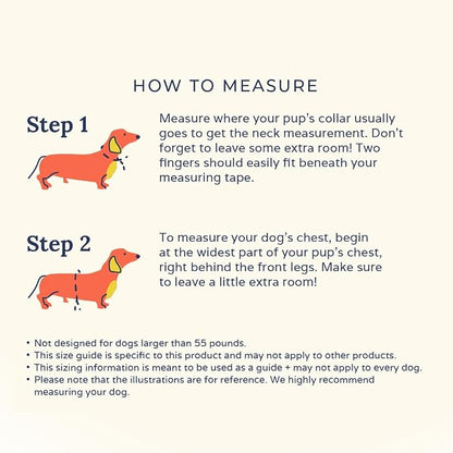 Lucy & Co. Cute Reversible Dog Harness Walking Halter - Image 8