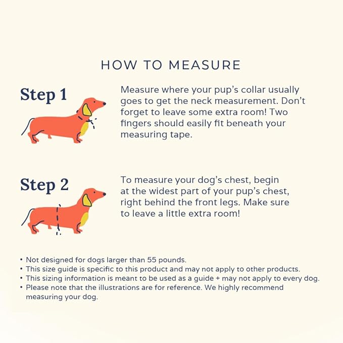 Lucy & Co. Cute Reversible Dog Harness Walking Halter - Image 7