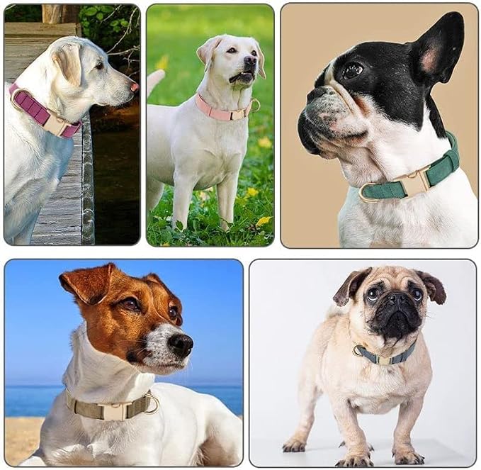 Soft Cotton Dog Collar with Metal Buckle Adjustable Heavy Duty Comfy Corduroy - Image 6