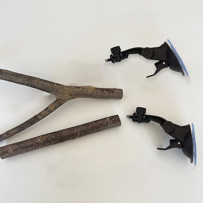 Natural Wood Bird Perch Stand - Image 4