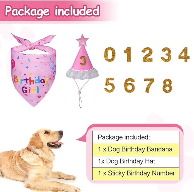 Dog Birthday Decorations, Dog Birthday Hat - Image 3
