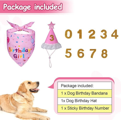 Dog Birthday Decorations, Dog Birthday Hat - Image 3