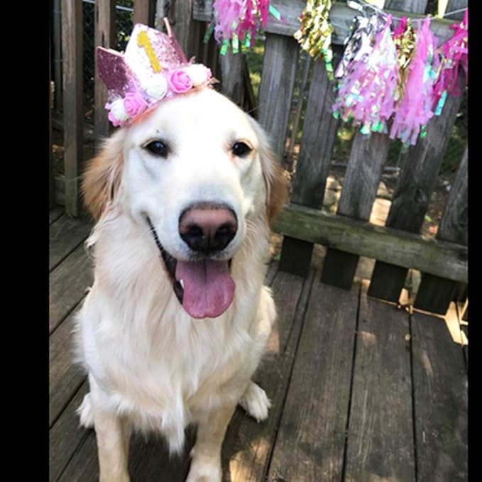 Pet Crown Dog Birthday Hat Reusable Birthday Party Crown Girl Cat Doggie - Image 3