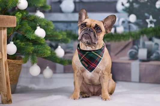 Lionet Paws Christmas Dog Bandana Washable Cotton Handkerchief Scarf Triangle - Image 2