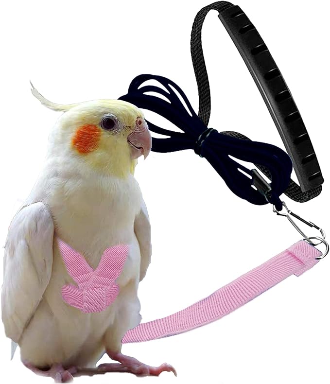 Dnoifne Parrot Harness and Leash, Adjustable Training Design Anti-Bite by Dnoifne