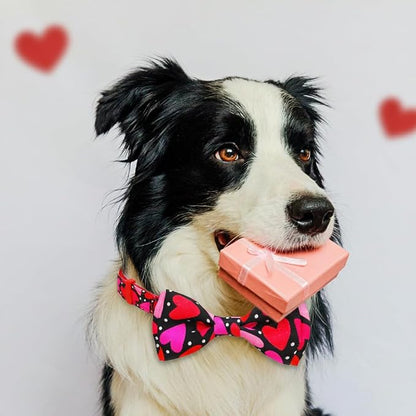 Valentine’s Day Dog Collar Adjustable Puppy Collar - Image 4