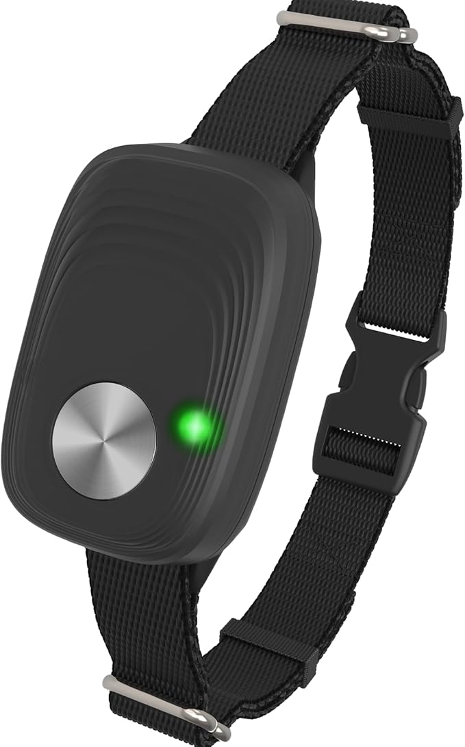 Automatic Pet Door Collar Compatible - Image 2