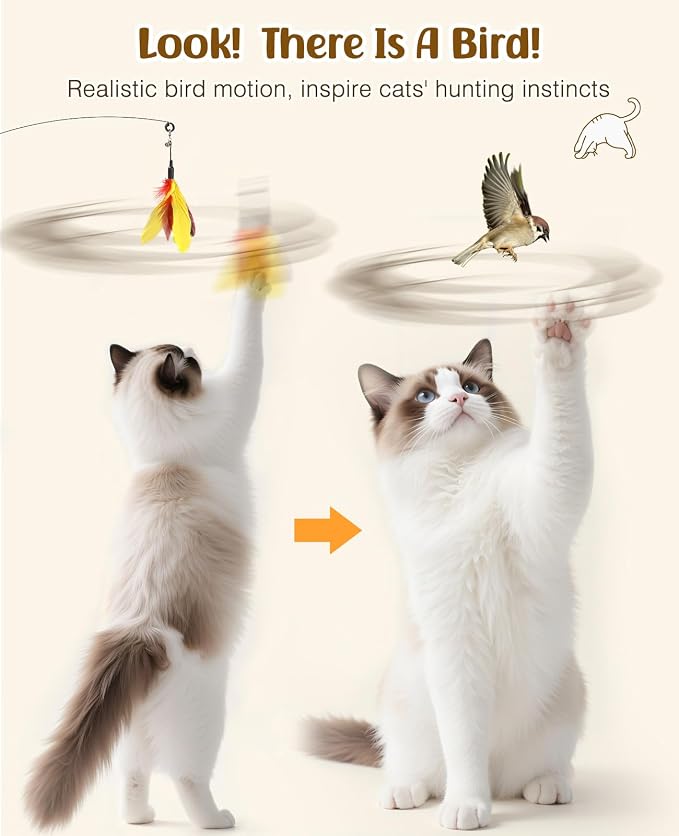 Pawaboo Feather Teaser Cat Toy, Interactive Feather Wand Cats Toy Flying - Image 4