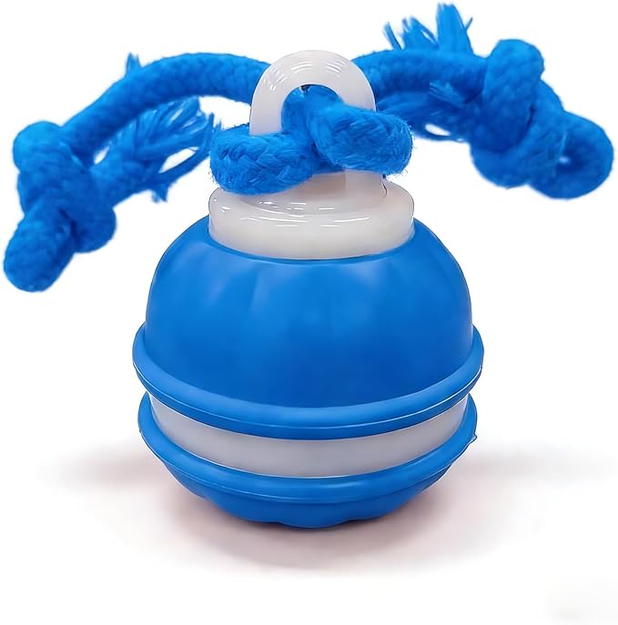 Zealburst Interactive Dog Toy, 360° Smart Automatic Rolling Moving Toy by Unknown
