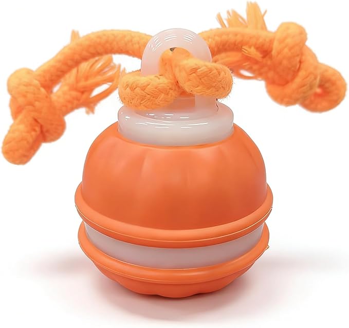 Zealburst Interactive Dog Toy, 360° Smart Automatic Rolling Moving Toy by Unknown
