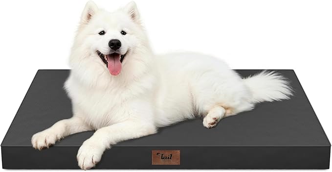 Outdoor Large Washable Dog Bed, Orthopedic Egg Crate Foam Dog Crate Mat by TailStories