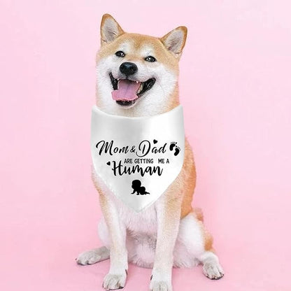 Mom&Dad are Getting Me a Human Dog Bandanas, Pregnancy Announcement Dog Bandanas - Image 4