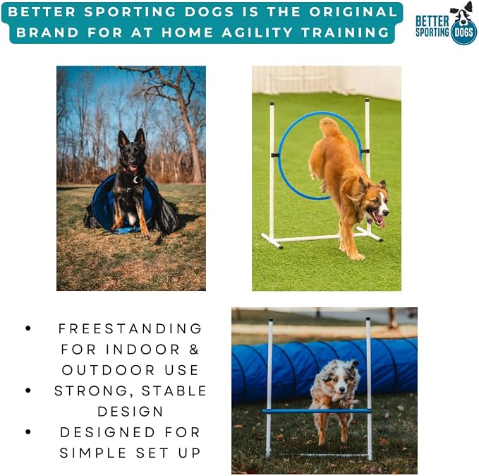 Better Sporting Dogs Complete Starter Agility Set - Image 9