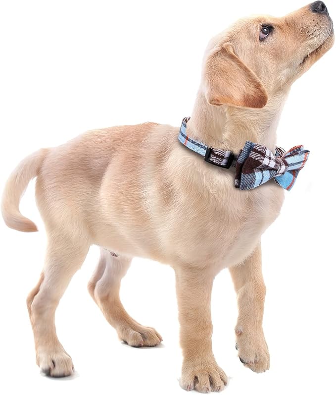 Faleela Soft &Comfy Bowtie Dog Collar, Detachable and Adjustable Bow Tie Collar - Image 6