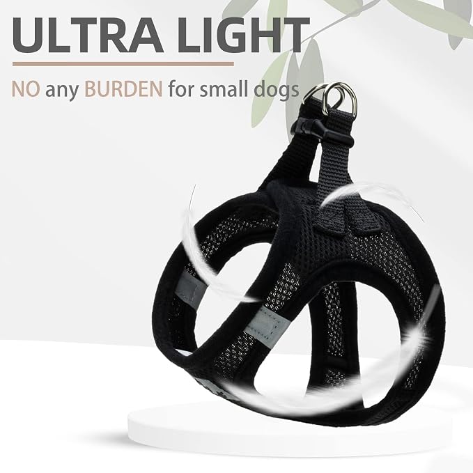 PUPTECK Adjustable Dog Harness Collar and Leash Set Step in No Pull Pet Harness - Image 6