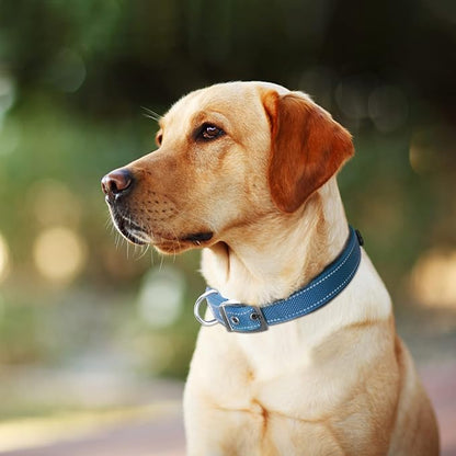 Fida Heavy Duty Dog Collar, Ultra Comfortable Soft Neoprene Padded, Adjustable - Image 7